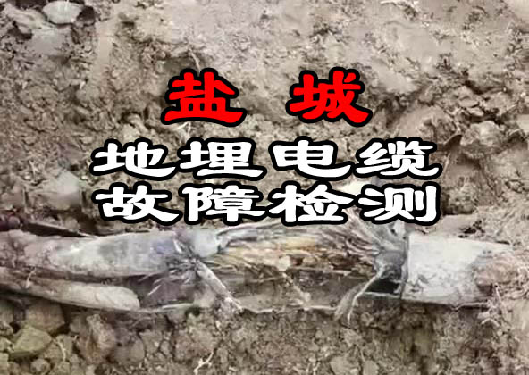 鹽城電纜故障檢測(cè)